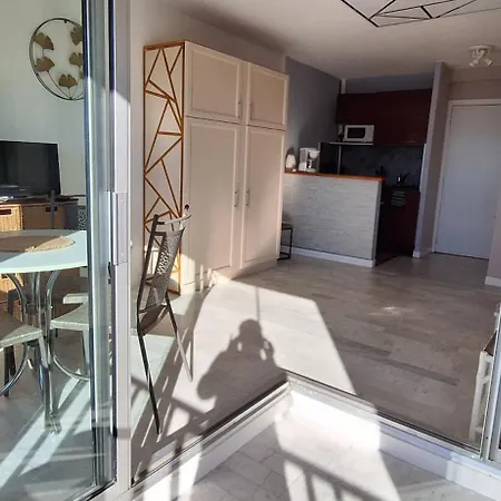 Grand Vue Panoramique Sur Le Port, Parking Prive * Agde