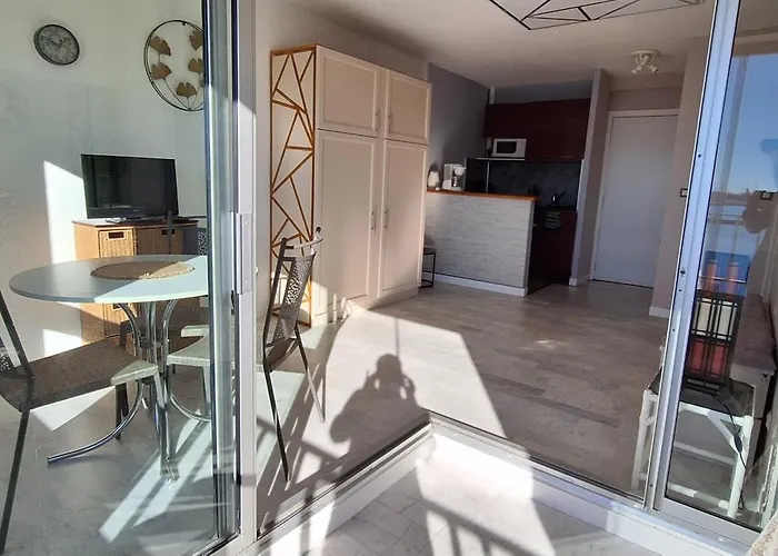 Grand Vue Panoramique Sur Le Port, Parking Prive * Агд