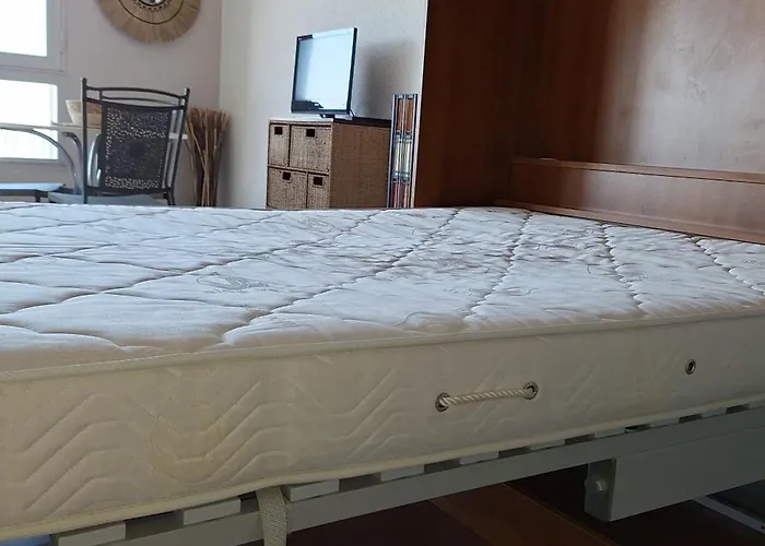 Grand Vue Panoramique Sur Le Port, Parking Prive Агд