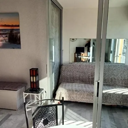 Grand Vue Panoramique Sur Le Port, Parking Prive Appartement Agde